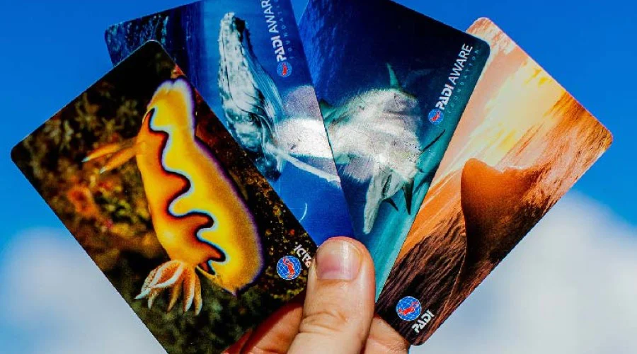Do Scuba Certifications Expire? Do Scuba Certifications Expire?