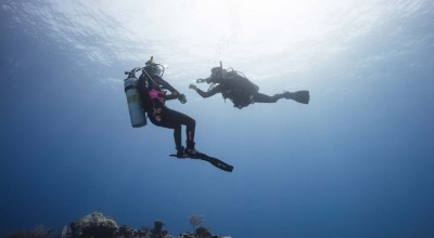 Why Become A PADI Divemaster?