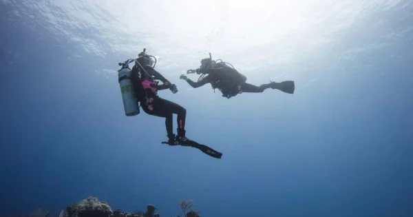 Why Become A PADI Divemaster?
