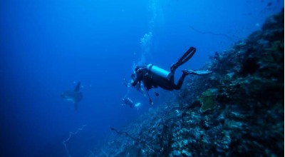 Nitrogen Narcosis: What Divers Need to Know
