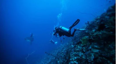 Nitrogen Narcosis: What Divers Need to Know
