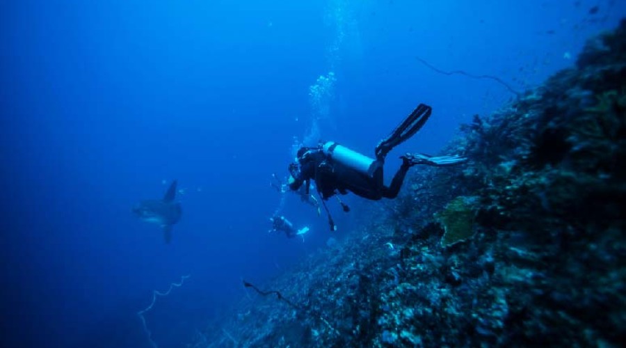 Nitrogen Narcosis: What Divers Need to Know