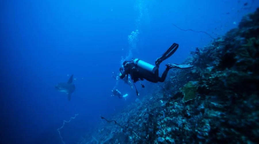 Nitrogen Narcosis: What Divers Need to Know
