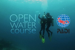 Becoming Open Water Diver