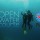 Becoming Open Water Diver