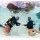 PADI Entry Level Course