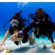 PADI Discover scuba diving