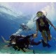 PADI Discover scuba diving