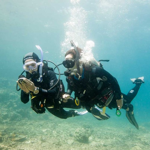 PADI Underwater Navigator