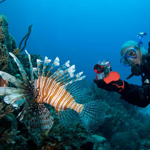 PADI Distinctive specialties