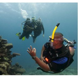 Open Water Scuba Instructor (OWSI)