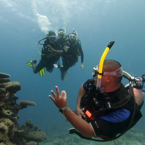 Open Water Scuba Instructor (OWSI)