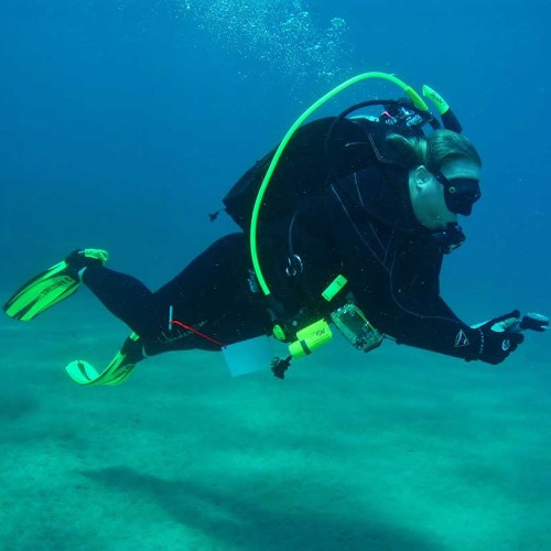 PADI Multilevel Diver