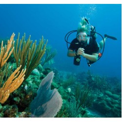 PADI Underwater Naturalist