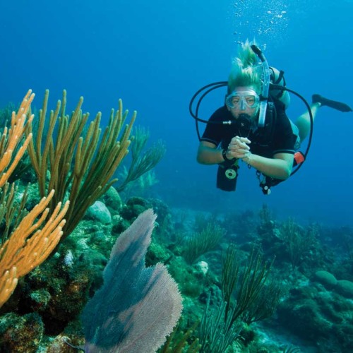 PADI Underwater Naturalist