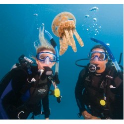 PADI Underwater Naturalist