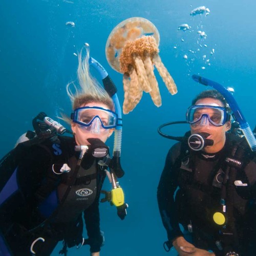 PADI Underwater Naturalist