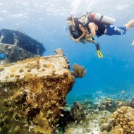 PADI Wreck Diver