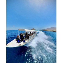 Fujairah Boat Dive Trips - 2 Dives