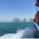 Dubai Boat Dive Trips - 2 Dives