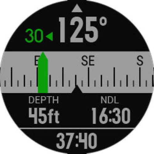 Garmin Descent Mk1 - Titanium Band