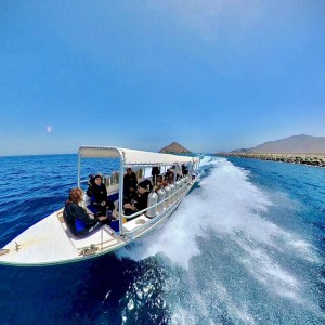 Fujairah Diving Trips